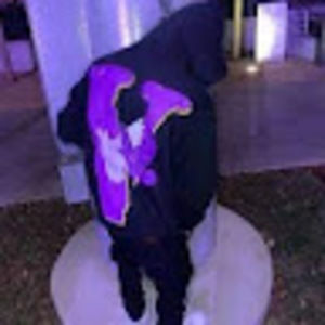 Meet your Posher, Luke